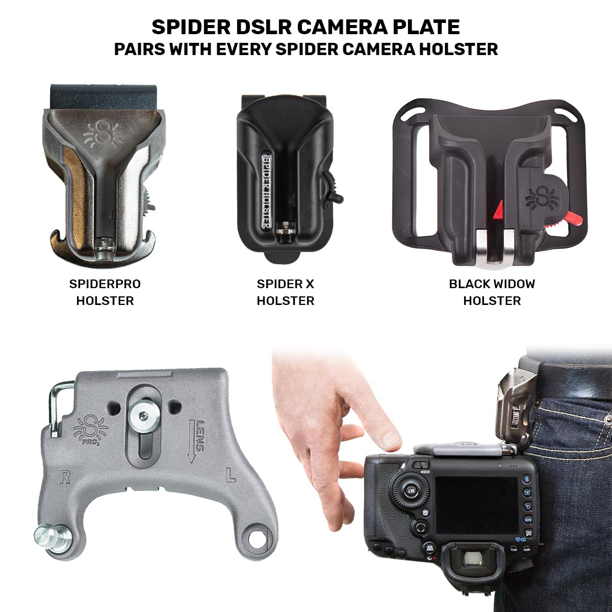 
                  
                    301: SpiderPro DSLR Camera Plate
                  
                